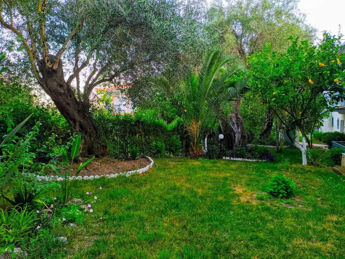 Κήπος 1